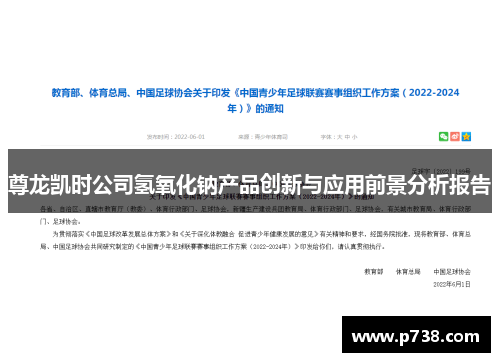 尊龙凯时公司氢氧化钠产品创新与应用前景分析报告