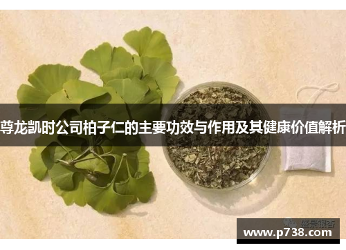 尊龙凯时公司柏子仁的主要功效与作用及其健康价值解析