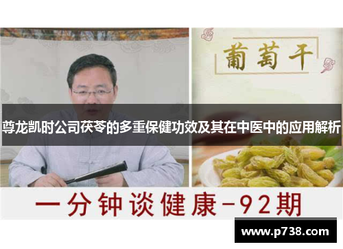 尊龙凯时公司茯苓的多重保健功效及其在中医中的应用解析